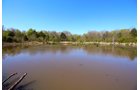Property photo 19 - LAND AUCTION - 153+/- ACRES OFFERED IN 6 TRACTS IN OKMULGEE, OKLAHOMA